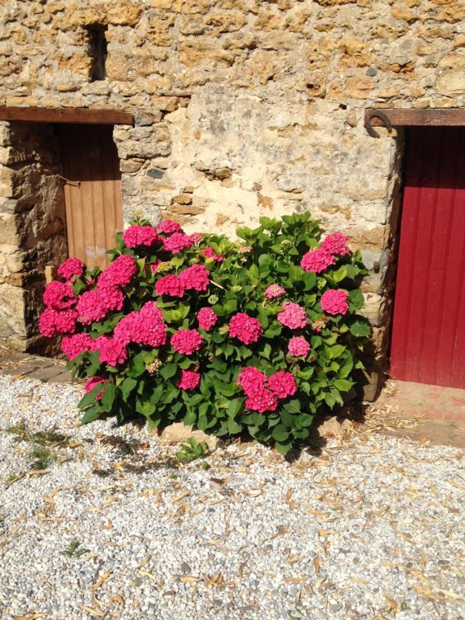 Le Clos De La Viniere Jard-sur-Mer Ngoại thất bức ảnh